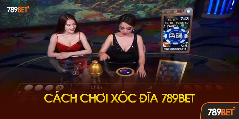 Luật chơi xóc đĩa 789BET chi tiết cho người mới